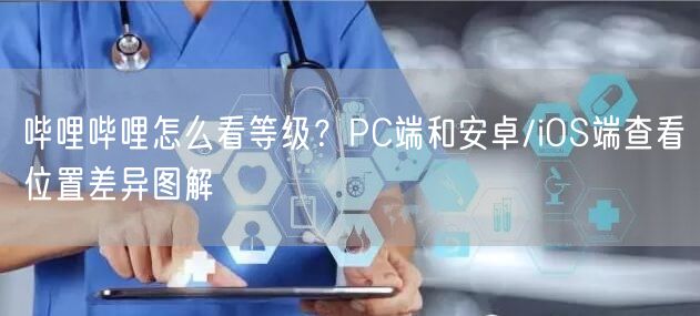 哔哩哔哩怎么看等级？PC端和安卓/iOS端查看位置差异图解