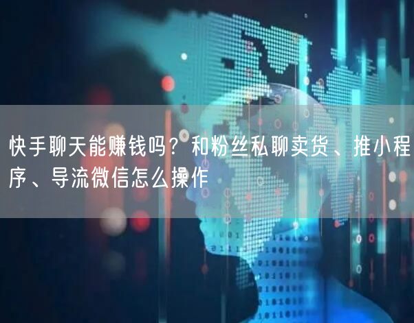 快手聊天能赚钱吗？和粉丝私聊卖货、推小程序、导流微信怎么操作