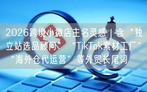 2026跨境小微店主名灵感｜含“独立站选品顾问”“TikTok素材工厂”“海外仓